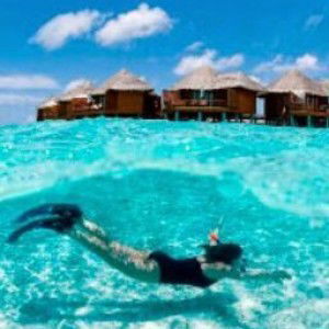 Yani Kertowijoyo profile icon