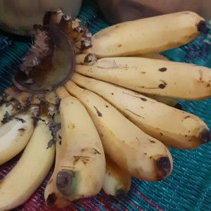 Qorii Yasiin profile icon