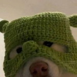 หมาเหม็นหูหมู หมูเห็นหมาหูเหม็น profile icon