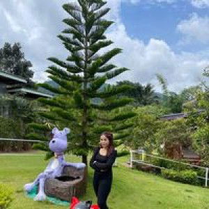 Tongkaew Moowan profile icon