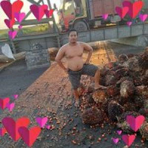 Arzeta Afandi profile icon