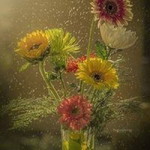 Prince Merhassan Jr. profile icon