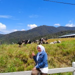 Wan Nor Ain Wan Mansor profile icon