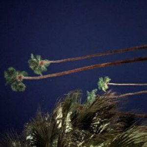 Jayeburd profile icon