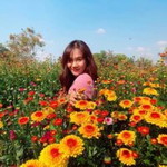 Wondering Nightty profile icon