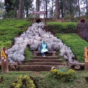 Afifah Kamil profile icon