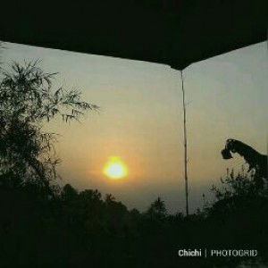 Ulfa Masruroh profile icon