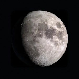 wida nengsih profile icon