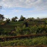 Krisna Prasetyo profile icon