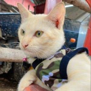 แพร รี่ profile icon