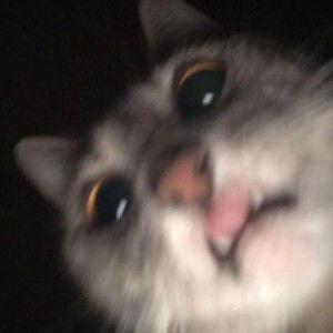 amoy meru profile icon