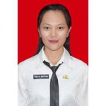 Vini Alvionita Br Ginting profile icon