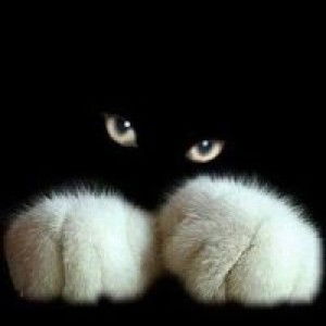 Baby Mendoza profile icon