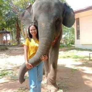 จุฬาลักษณ์ ภูสุวรรณ profile icon