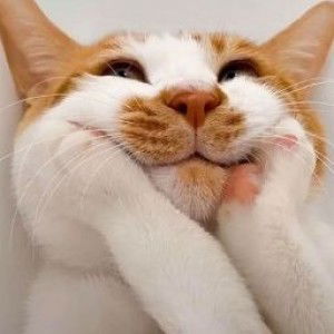 Noor Azuanie Azhar profile icon