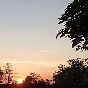 Sri Sulastri profile icon