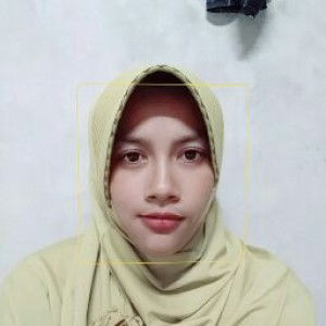 R. Risnawati profile icon