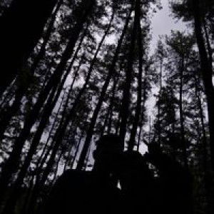 Galid Laraebi profile icon