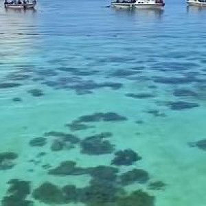 Puteri Shfna profile icon