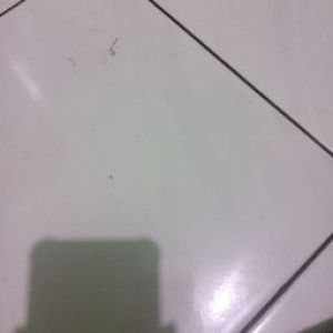 Pingki Pratiwi96 profile icon