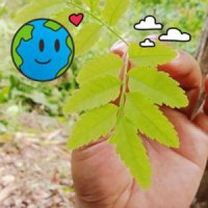 Irlan Irlan profile icon