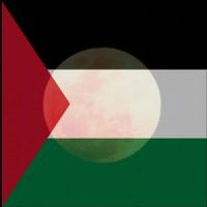 Faday Yusof profile icon