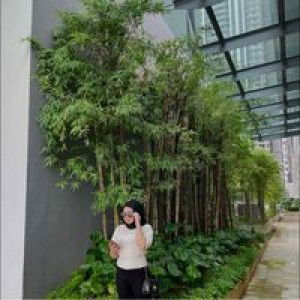 Beea Bet profile icon