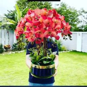 Marhana profile icon