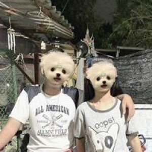 Panida Thumphang profile icon