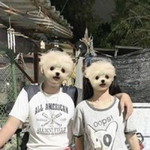 Panida Thumphang profile icon