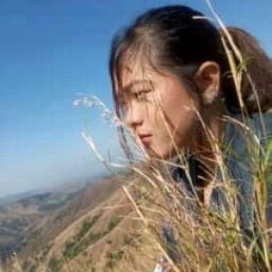 PearlTheExplorer profile icon