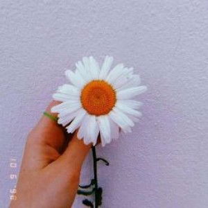 Hera ky30 profile icon