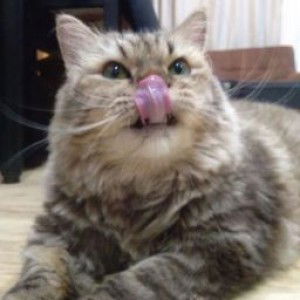 Rini Andita profile icon