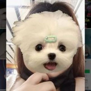 มาเรียม ซอลละ profile icon