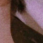 Rosalie Yparaguirre profile icon