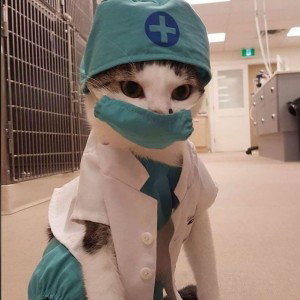 siti norjannah profile icon