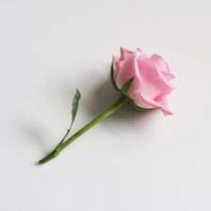 Layla Anggraini 003 profile icon