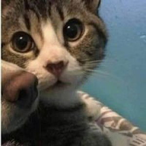 Mild Ponnarai profile icon