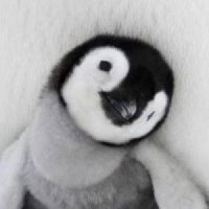 Rahmanie Yaena profile icon