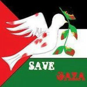 Syaz Wani profile icon