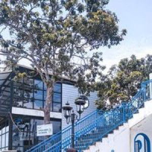 Zely Hani Aturiff'ah profile icon