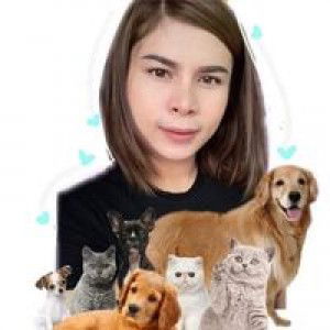 มะหมาแห่งบ้าน นาล้อม profile icon