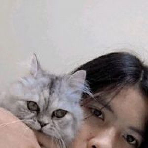 Mod Tipkamol profile icon