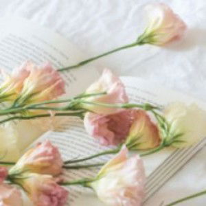 Rizky Yuspita Sari profile icon