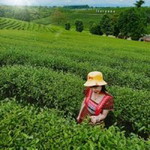 Taew Waew profile icon