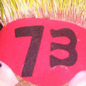 Risna Dharmawan profile icon