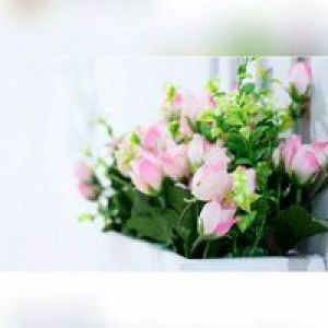 Rii Meri profile icon