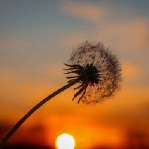 bunda daraa ? profile icon