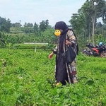 Vitria Ningrum profile icon