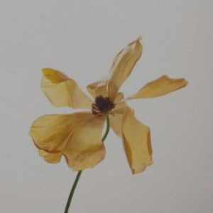 Umma aqwa' profile icon